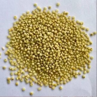 Browntop Millets