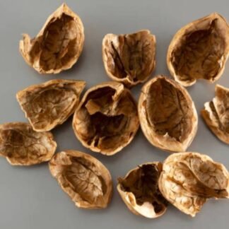 Walnut Shell