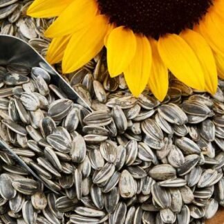 Sunflower Seeds